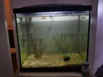 Aquarium incl guppies en toebehoren, Dieren en Toebehoren, Vissen | Aquaria en Toebehoren, Ophalen, Zo goed als nieuw, Gevuld zoetwateraquarium