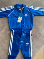 Adidas trainingspak, Ophalen of Verzenden, Nieuw, Jongetje of Meisje
