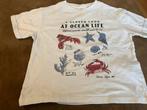 Zara T-shirt maat 120 (6/7) - Strand Thema, Ophalen of Verzenden, Zo goed als nieuw, Jongen of Meisje