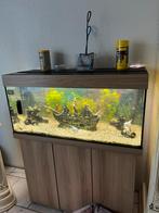 Juwel aquarium, Dieren en Toebehoren, Vissen | Aquaria en Toebehoren, Ophalen, Gebruikt, Gevuld zoetwateraquarium