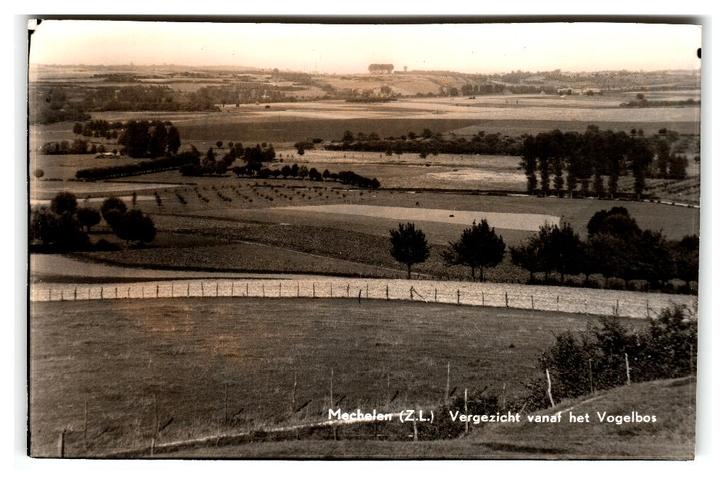 Mechelen, Vergezicht vanaf het Vogelbos, Verzamelen, Ansichtkaarten | Nederland, Ongelopen, Limburg, 1960 tot 1980, Ophalen of Verzenden