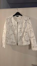 Caroline Biss, kantennjasje, Kleding | Dames, Ophalen of Verzenden, Zo goed als nieuw, Maat 42/44 (L), Wit