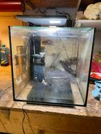 Superfish qubiq 60 met filter en verlichting, Ophalen, Gebruikt, Leeg aquarium