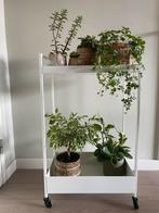 Plantenkarretje metaal, plateauwagentje, Huis en Inrichting, Tafels | Sidetables, 50 tot 100 cm, Nieuw, Ophalen of Verzenden, Metaal