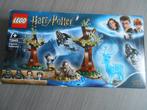 Harry Potter Lego Expectum Patronum-75945, Ophalen of Verzenden, Zo goed als nieuw, Complete set, Lego