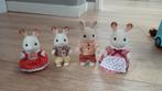 Sylvanian Families Konijnenfamilie, Ophalen of Verzenden, Zo goed als nieuw, Overige typen