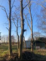 Hout zagen en vellen, Ophalen, Zo goed als nieuw, Overige metalen