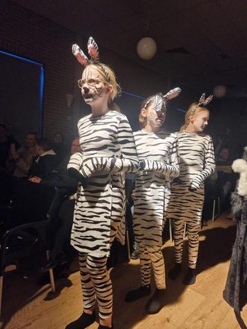 3x zebra beschikbaar voor biedingen