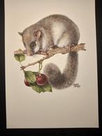 Relmuis, Verzenden, 1980 tot heden, Zo goed als nieuw, Dier