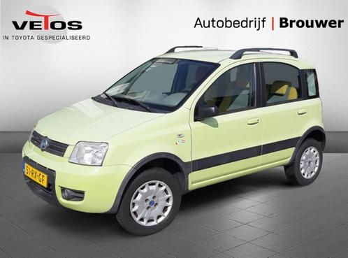 Fiat Panda 1.2 Professional 4x4, Auto's, Fiat, Panda, ABS, Airbags, Startonderbreker, Benzine, Euro 4, D, Hatchback, Handgeschakeld