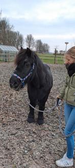 Verzorger gezocht, Ophalen of Verzenden