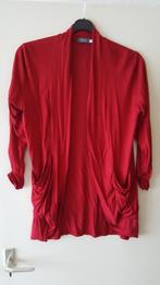 AZURI ROOD JERSEY VEST MET ZAKKEN MAAT XL, Kleding | Dames, Maat 46/48 (XL) of groter, Ophalen of Verzenden, Zo goed als nieuw