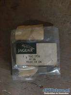 XJ6 Boot Molding Clip BAC2726, -, -, Nieuw, Ophalen of Verzenden