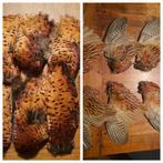 Fazant veren, Ophalen of Verzenden, Nieuw, Materiaal