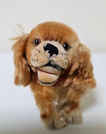 Steiff spaniel hond hondje jaren 50 antiek oud mohair  beschikbaar voor biedingen