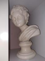 torso, borstbeeld, buste, Verzamelen, Beelden en Beeldjes, Ophalen of Verzenden, Gebruikt, Dier