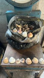 Schelpen, Ophalen, Materiaal