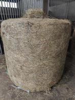 Paarden voordroog hooi (kuil), Dieren en Toebehoren, Dierenvoeding, Ophalen of Verzenden, Vee