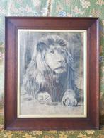 Prachtige antieke ingelijste tekening van een leeuw uit 1903