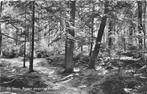 (387-232-017) De Steeg Bossen omgeving Posbank, Verzenden, Gelderland