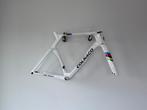 Colnago Y1Rs YSWC Frameset Nieuw!, Fietsen en Brommers, Fietsen | Racefietsen, Overige merken, Carbon, Nieuw, Ophalen of Verzenden