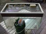 Aquarium, Ophalen, Gebruikt, Leeg aquarium