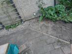 zand, Tuin en Terras, Zand, Ophalen, Gebruikt, Ophoogzand