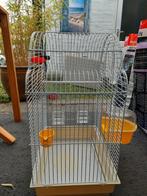 Vogelkooi, Meerdere dieren, Parkiet