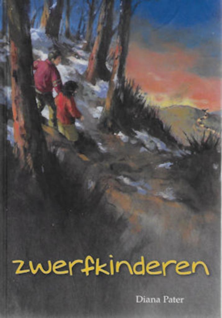 Diana Pater: Zwerfkinderen, Boeken, Kinderboeken | Jeugd | 13 jaar en ouder, Zo goed als nieuw, Ophalen of Verzenden