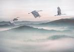 Kraanvogel behang Mystic Cranes, 400x280 cm, Muurdeco4kids, Minder dan 10 m², Kraanvogel, vogelbehang, Verzenden