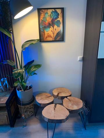 HSM Collection massief eikenboombladen salon tafel beschikbaar voor biedingen