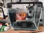 Superfish aquarium, Dieren en Toebehoren, Vissen | Aquaria en Toebehoren, Ophalen, Zo goed als nieuw, Leeg aquarium