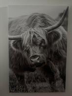 Canvas Schilderij Buffel - 60x40 cm, Ophalen, Minder dan 50 cm, Gebruikt, 50 tot 75 cm