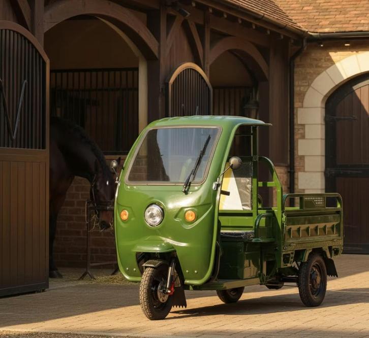Elektrische Bakfiets driewieler Tuktuk, Zakelijke goederen, Overige Zakelijke goederen, Ophalen of Verzenden