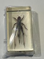 Insecten in acrylhars, Ophalen of Verzenden, Zo goed als nieuw, Beeldje of Figuurtje