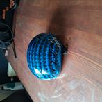 Shorttrack Helm Vinking V, Ophalen of Verzenden, Zo goed als nieuw, Overige typen, Viking