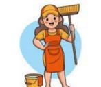 Schoonmaak Hulp gezocht!, Overige niveaus, Starter, Overige vormen