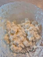 Melkkefir.Verse kefir korrels.Yoghurt plantje. €5,- /50 gram, Diversen, Levensmiddelen, Ophalen