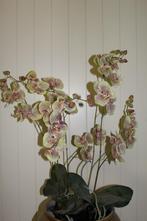 zijde orchidee / zijde bloemen, Ophalen of Verzenden