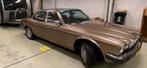 Jaguar Sovereign 4.2 AUT 1986 BRONS, Automaat, Achterwielaandrijving, Beige, Bruin