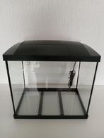 SuperFish Start 50, Dieren en Toebehoren, Vissen | Aquaria en Toebehoren, Ophalen, Gebruikt, Leeg aquarium