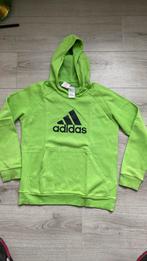 Groene adidas trui, Ophalen of Verzenden, Zo goed als nieuw, Trui of Vest