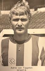 Zeldzaam Sparta Spelerskaart 82/83. Adrie van Tiggelen Bouts, Verzenden, Zo goed als nieuw, Sparta, Spelerskaart