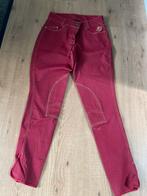 Nieuwe rode paardrijbroek Mountain Horse maat 38, Dieren en Toebehoren, Paardrijkleding, Nieuw, Ophalen of Verzenden, Dames, Recreatie