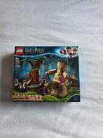 LEGO Harry Potter 75967 Forbidden Forest, Ophalen of Verzenden, Nieuw