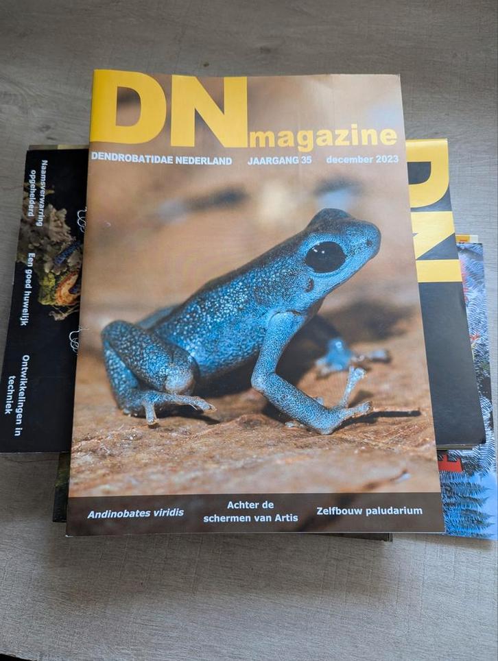 DN blad en Palmblad, Dieren en Toebehoren, Reptielen en Amfibieën | Toebehoren, Gebruikt, Terrarium of Paludarium, Ophalen