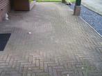 dikformaat klinkers , bont genuanceerd , klinkers , GRATIS, Tuin en Terras, Ophalen, Gebruikt, Beton, Klinkers