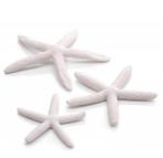 NIEUW: Biorb white seastars! 7,50€, Dieren en Toebehoren, Ophalen of Verzenden, Nieuw, Sierelement