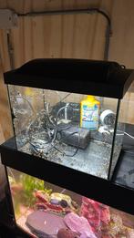 Kleine superfish bak met led en pomp, Ophalen of Verzenden, Zo goed als nieuw, Leeg aquarium