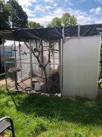Aluminium Volière 3x 3 ( 21panelen), Dieren en Toebehoren, Vogels | Hokken en Kooien, Ophalen, Aluminium, Volière
